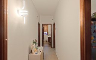Ingresso