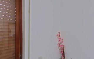 Studio